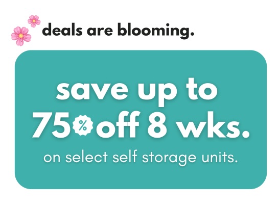 Make Space Storage - Windsor  Promotion